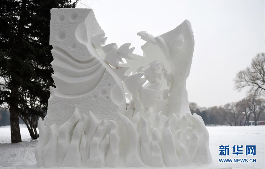 (文化)(1)全国大学生雪雕比赛落幕